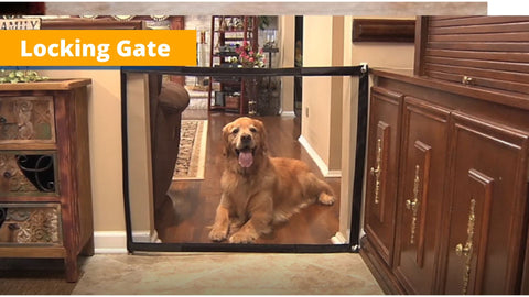 Locking Gate - Cerca para pets